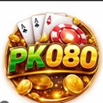 PK080 Game