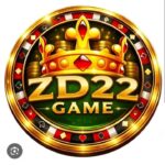 ZD22 GAME