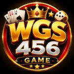 WGS456 GAME